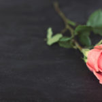 Single pink rose on slate worktop